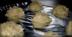 coconut macaroon