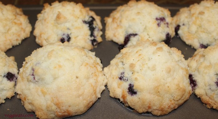BLUEBERRY MUFFIN