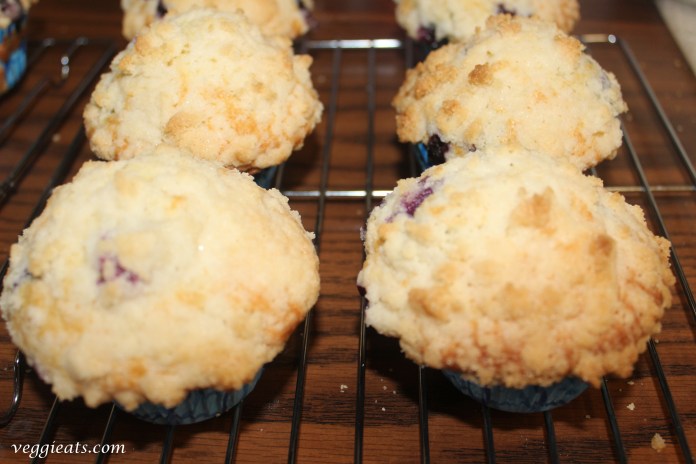 blueberry muffin